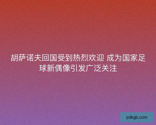 胡萨诺夫回国受到热烈欢迎 成为国家足球新偶像引发广泛关注