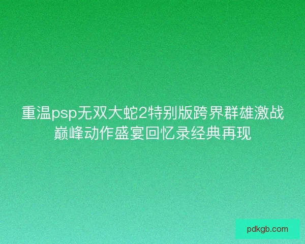 重温psp无双大蛇2特别版跨界群雄激战巅峰动作盛宴回忆录经典再现