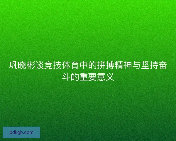 巩晓彬谈竞技体育中的拼搏精神与坚持奋斗的重要意义