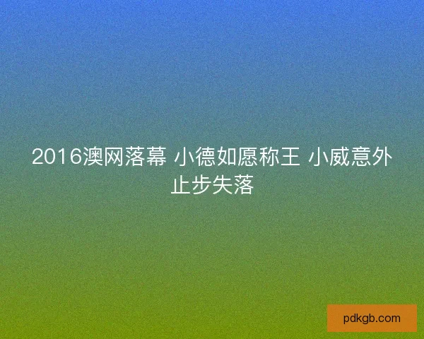 2016澳网落幕 小德如愿称王 小威意外止步失落