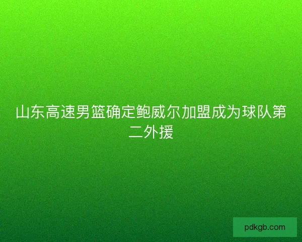 山东高速男篮确定鲍威尔加盟成为球队第二外援