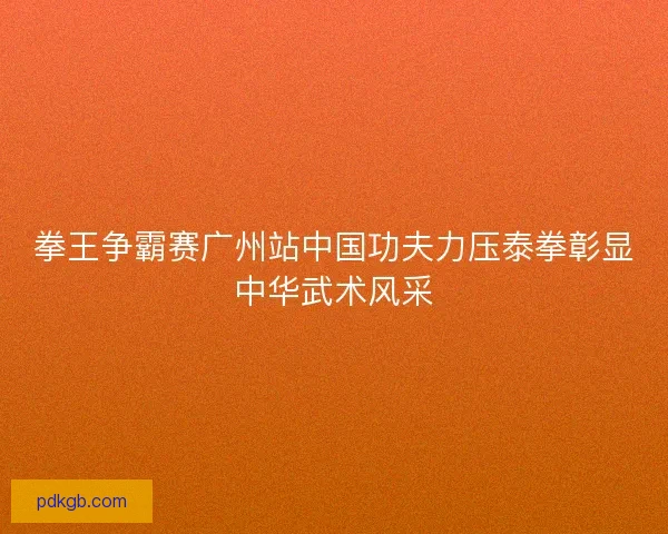 拳王争霸赛广州站中国功夫力压泰拳彰显中华武术风采 拳王争霸赛广州站中国功夫力压泰拳彰显中华武术风采